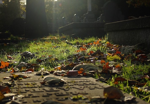Begraven of cremeren, begraafplaats Willem de Vries Robbéweg
